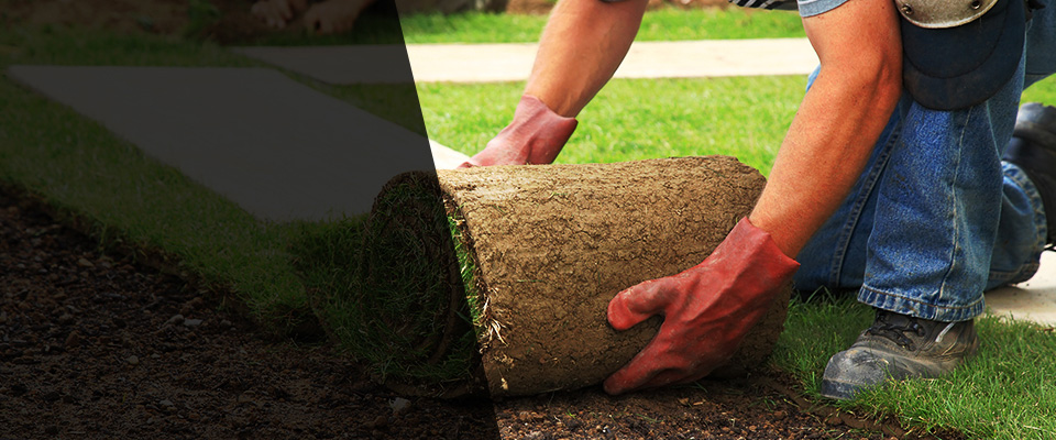 Alexander City Landscapers